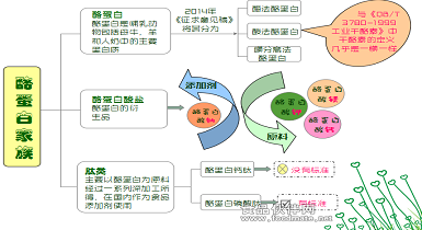 酪蛋白系列產品有哪些？